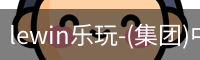 lewin乐玩-(集团)中国有限公司